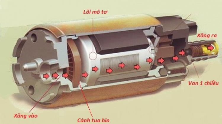 Kiến thức cơ bản từ A-Z về cấu tạo ô tô dành cho người chưa biết gì