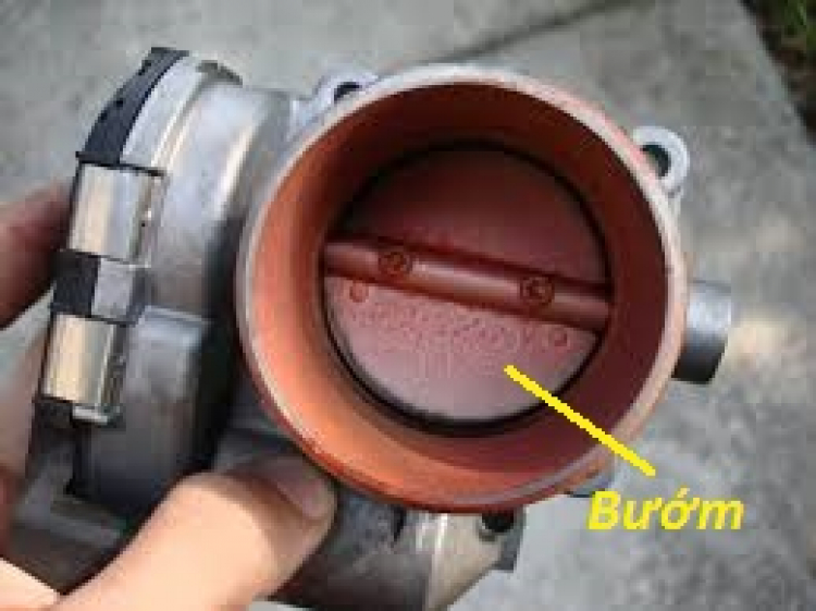 Kiến thức cơ bản từ A-Z về cấu tạo ô tô dành cho người chưa biết gì Kiến thức cơ bản từ A-Z về cấu tạo ô tô dành cho người chưa biết gì