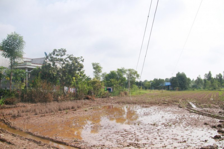 Khởi động chương trình xây cầu từ thiện thứ 2 của FFC trong năm 2015 Khởi động chương trình xây cầu từ thiện thứ 2 của FFC trong năm 2015