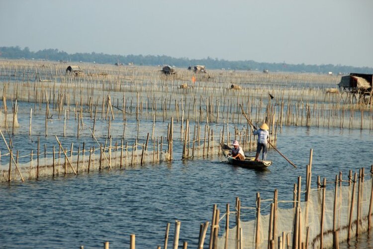 Phá Tam Giang