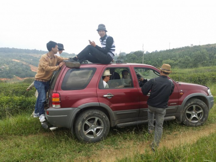 Tổng hợp chi phí sử dụng bảo dưỡng sau 3 năm sử dụng Ford Escape 2004 Tổng hợp chi phí sử dụng bảo dưỡng sau 3 năm sử dụng Ford Escape 2004