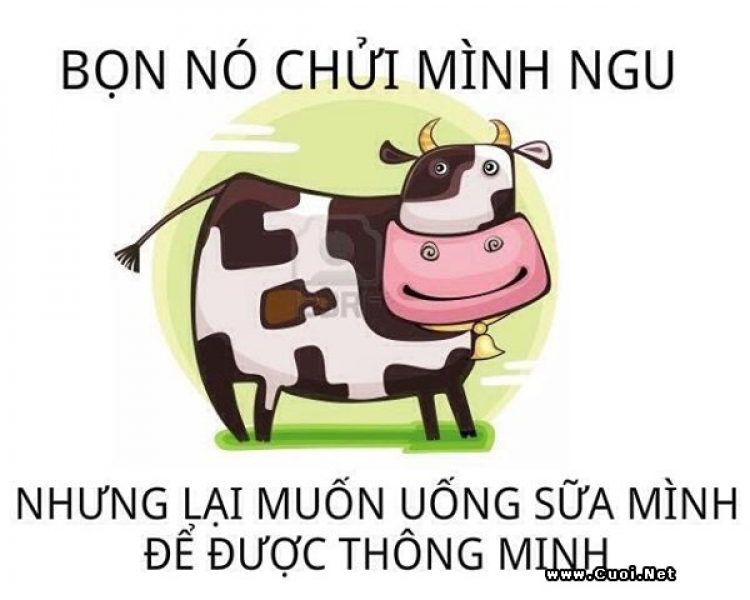 Người và chó