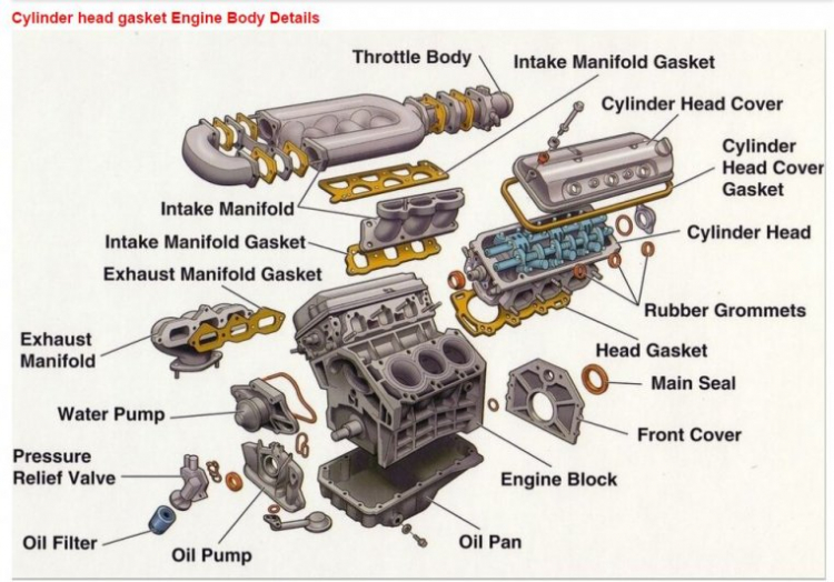 Toyota Corona 1992 - 1996 mắt híp đít bồng (Na béo )