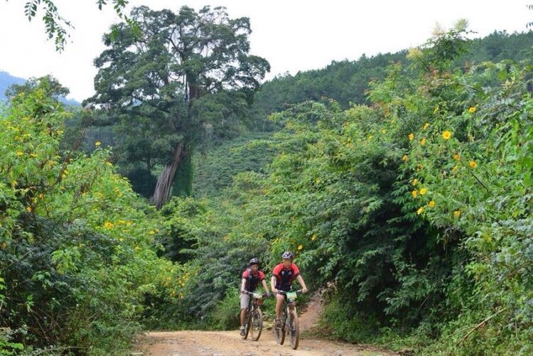 Giải đua xe đạp MTB - Khám Phá Di Linh