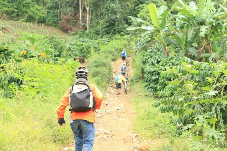 Giải đua xe đạp MTB - Khám Phá Di Linh