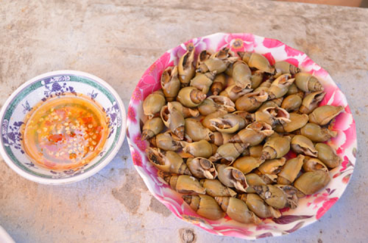 Jolie - Chiếc xe thân thiện