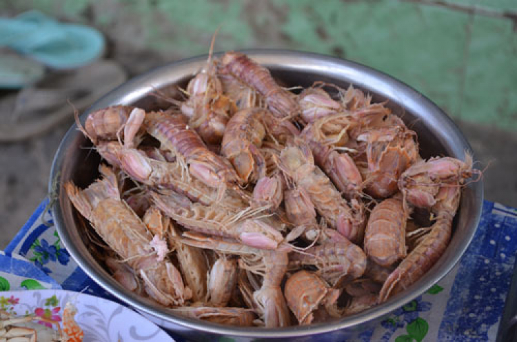 Jolie - Chiếc xe thân thiện