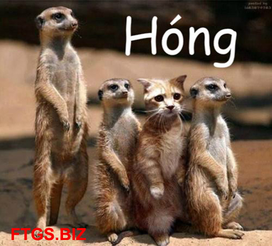 Phản biện của các anh Hàng Xanh về việc rẽ trái tại nơi được phép quay đầu liên tục !? Phản biện của các anh Hàng Xanh về việc rẽ trái tại nơi được phép quay đầu liên tục !?