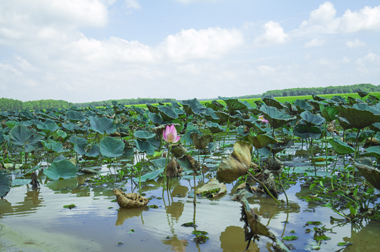 GMFC- Hình ảnh chuyến off từ thiện tại Hồng Ngự, Đồng Tháp 2015