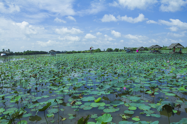 GMFC- Hình ảnh chuyến off từ thiện tại Hồng Ngự, Đồng Tháp 2015