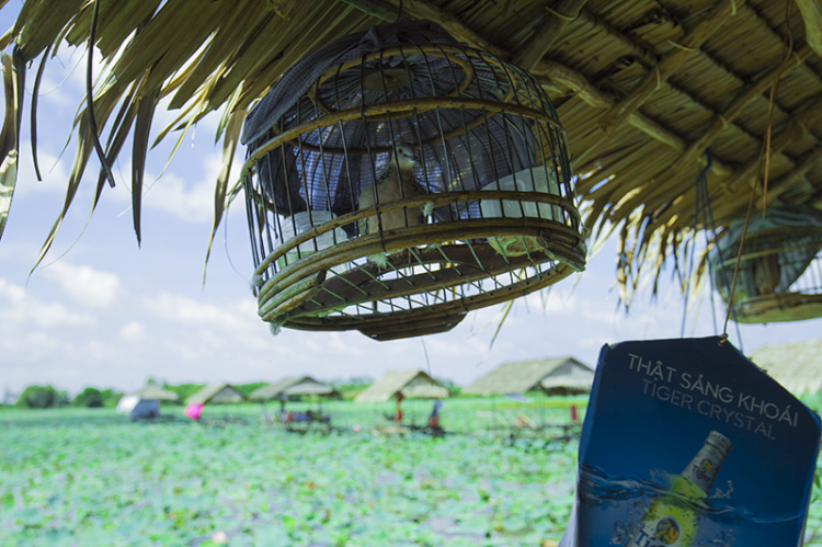 GMFC- Hình ảnh chuyến off từ thiện tại Hồng Ngự, Đồng Tháp 2015 GMFC- Hình ảnh chuyến off từ thiện tại Hồng Ngự, Đồng Tháp 2015