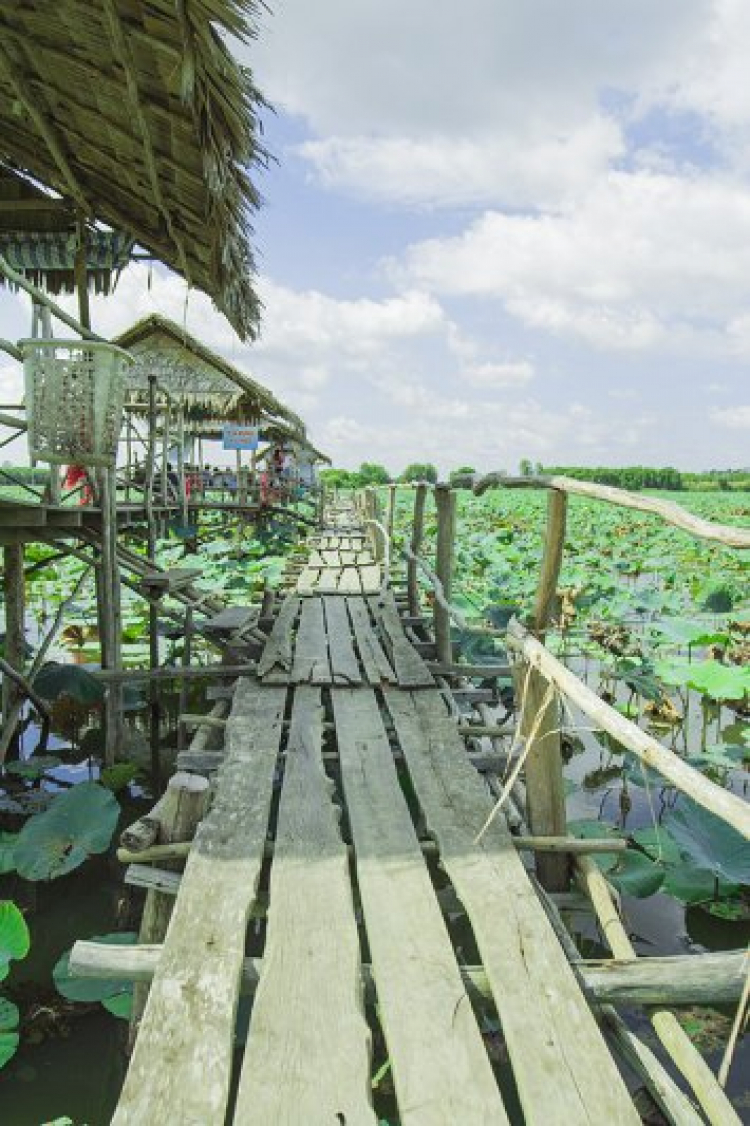 GMFC- Hình ảnh chuyến off từ thiện tại Hồng Ngự, Đồng Tháp 2015 GMFC- Hình ảnh chuyến off từ thiện tại Hồng Ngự, Đồng Tháp 2015