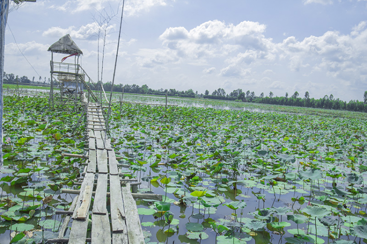 GMFC- Hình ảnh chuyến off từ thiện tại Hồng Ngự, Đồng Tháp 2015