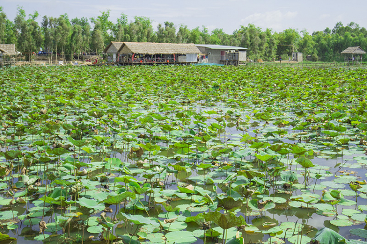 GMFC- Hình ảnh chuyến off từ thiện tại Hồng Ngự, Đồng Tháp 2015