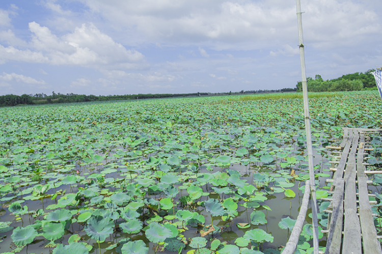 GMFC- Hình ảnh chuyến off từ thiện tại Hồng Ngự, Đồng Tháp 2015