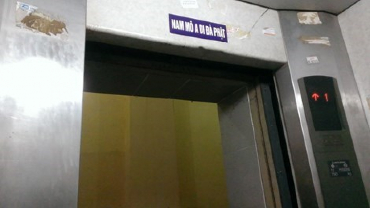 Ở chung cư có làm cho mình trở nên nhát không các bác? Ở chung cư có làm cho mình trở nên nhát không các bác?
