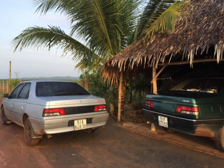 Peugeot 405 tại Việt Nam