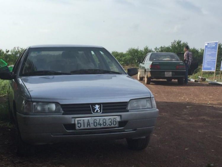 Peugeot 405 tại Việt Nam