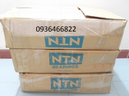 thung bi ntn.JPG