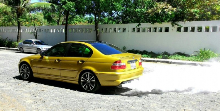 E46 offline