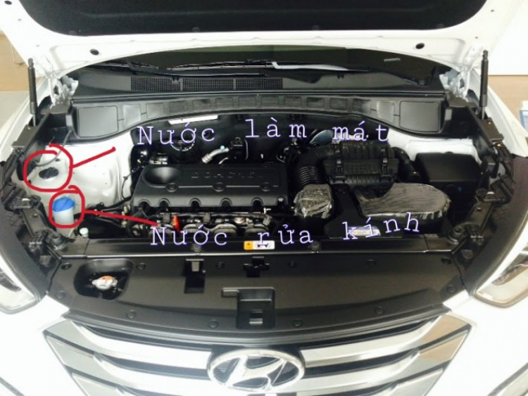 chào ae os..cảm thấy ok vs con vợ 2 này chào ae os..cảm thấy ok vs con vợ 2 này