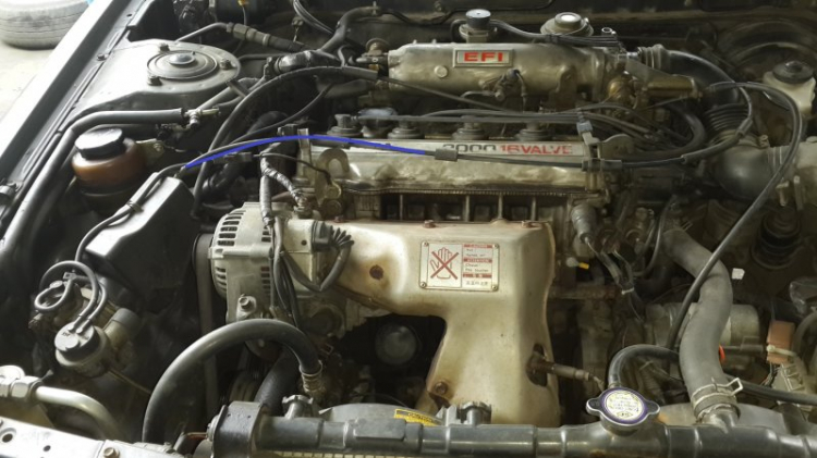 Camry: Trao đổi kinh nghiệm sửa chữa, phụ tùng Camry 8X 9X 0X (Đời 86 đến 2000) Camry: Trao đổi kinh nghiệm sửa chữa, phụ tùng Camry 8X 9X 0X (Đời 86 đến 2000)