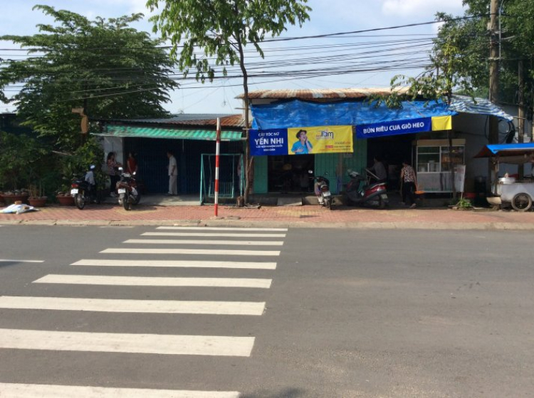 chữa bệnh GOUT chỉ 7 ngàn đồng việt nam chữa bệnh GOUT chỉ 7 ngàn đồng việt nam