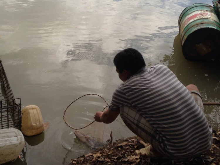 Phượt lên Thác Mai Phượt lên Thác Mai