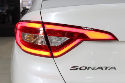 sonata-2015-23.JPG