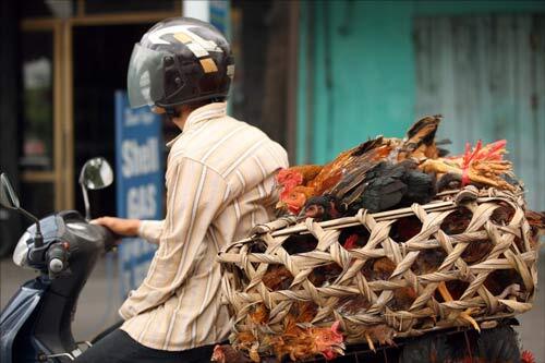 Giao lưu hàng ngày giữa Các Mem Hội Chém Gió