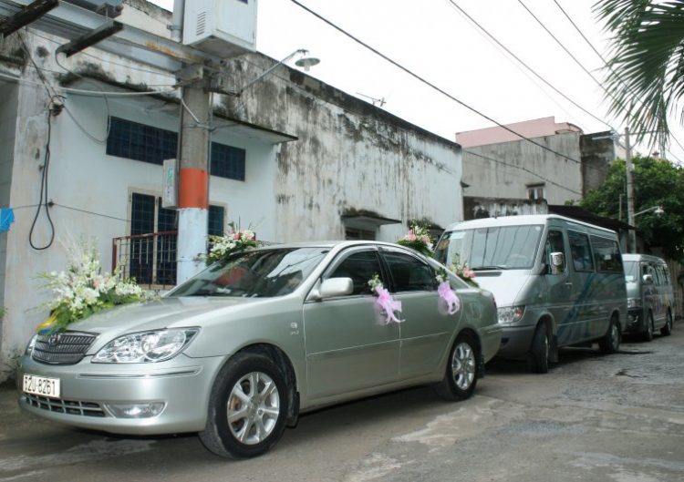 Một câu hỏi lớn, không lời đáp?