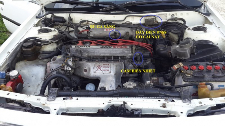 Camry: Trao đổi kinh nghiệm sửa chữa, phụ tùng Camry 8X 9X 0X (Đời 86 đến 2000) Camry: Trao đổi kinh nghiệm sửa chữa, phụ tùng Camry 8X 9X 0X (Đời 86 đến 2000)