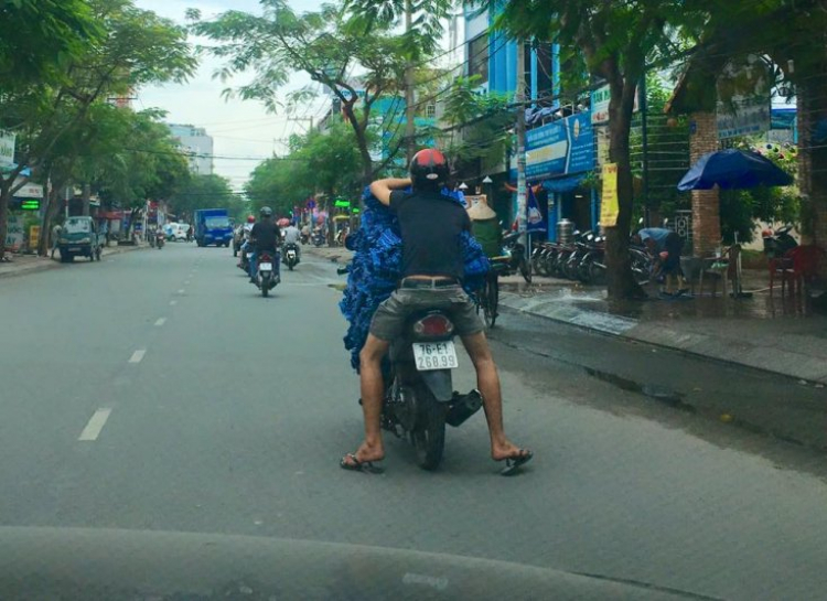 Hai bánh làm xiếc trên đường.