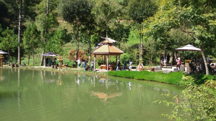 đón giáng sinh ở đà lạt đón giáng sinh ở đà lạt