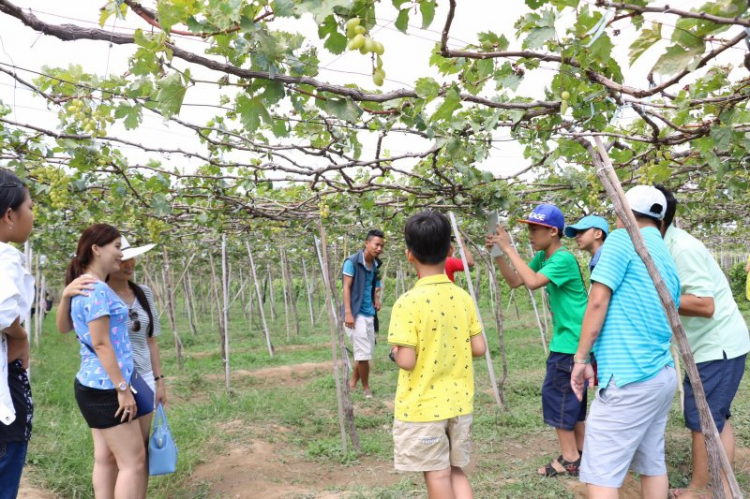 GMFC - Offline Tết Tây  2016. Phan Rang - Hình Trang 16