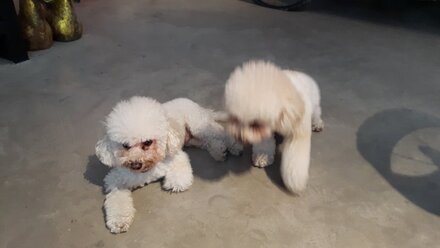 20160109_120505.jpg