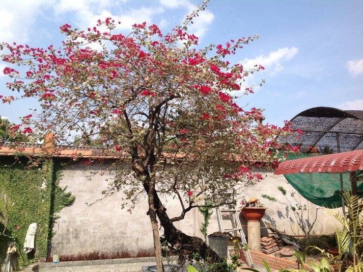 Vista Verde quận 2 Vista Verde quận 2