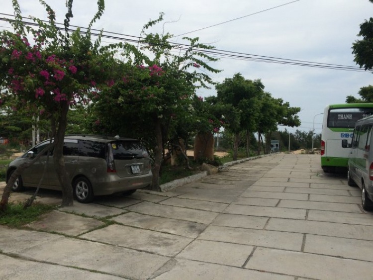 GRANDIS DẬY SÓNG MÕM ĐÁ CHIM GRANDIS DẬY SÓNG MÕM ĐÁ CHIM
