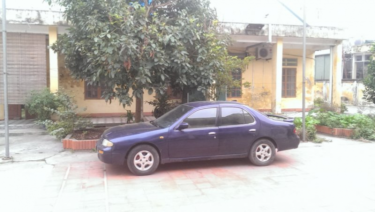 Nhờ bác sĩ cấp cứu con nissan bluebird sss Nhờ bác sĩ cấp cứu con nissan bluebird sss
