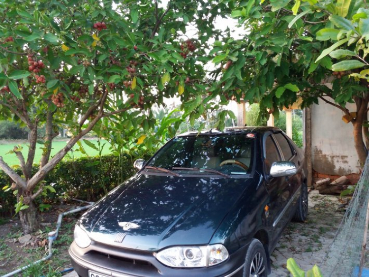 Làm đẹp cho Fiat Siena