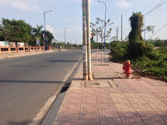 Chúng ta quá vội ?