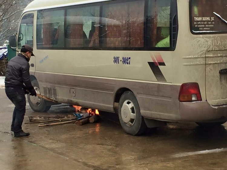 Thánh sưởi ấm của năm 2016