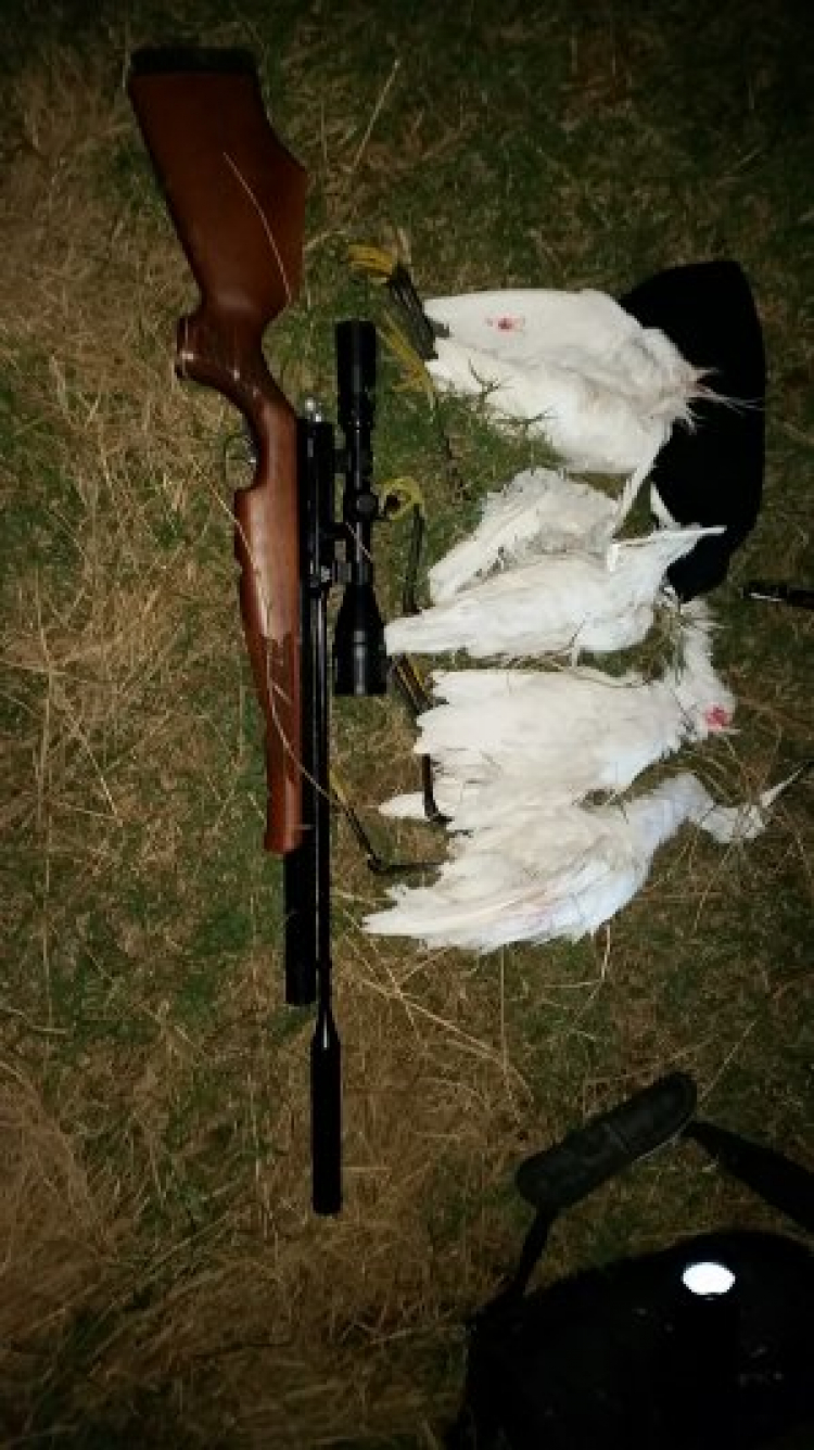 Airgun, niềm đam mê của phái mạnh!