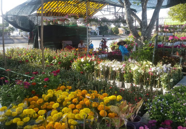 Nơi hội tụ Fiater Miền Tây Nơi hội tụ Fiater Miền Tây