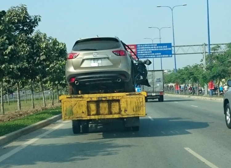 Bác chủ mất tết rồi