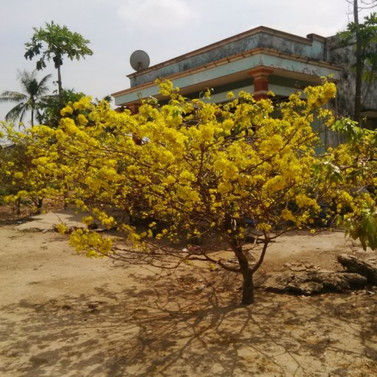 Khu phố 8888 - Chém gió chuyên nghiệp và đầy văn hóa (Tập 2) Khu phố 8888 - Chém gió chuyên nghiệp và đầy văn hóa (Tập 2)