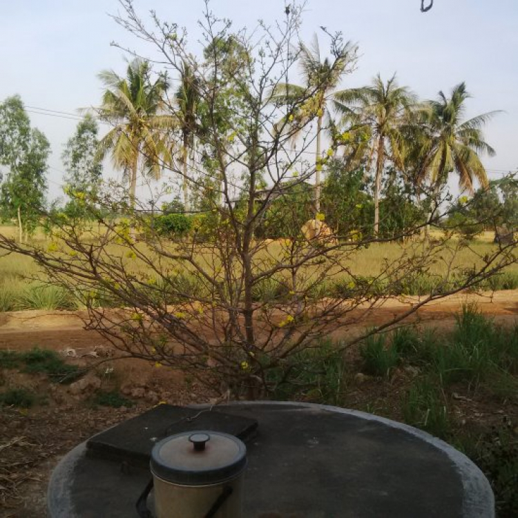 Khu phố 8888 - Chém gió chuyên nghiệp và đầy văn hóa (Tập 2) Khu phố 8888 - Chém gió chuyên nghiệp và đầy văn hóa (Tập 2)