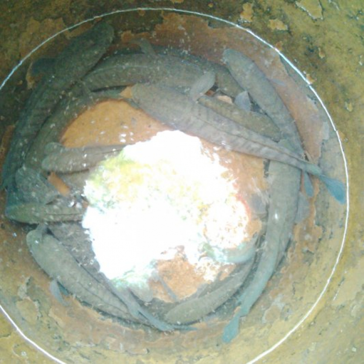 Khu phố 8888 - Chém gió chuyên nghiệp và đầy văn hóa (Tập 2) Khu phố 8888 - Chém gió chuyên nghiệp và đầy văn hóa (Tập 2)