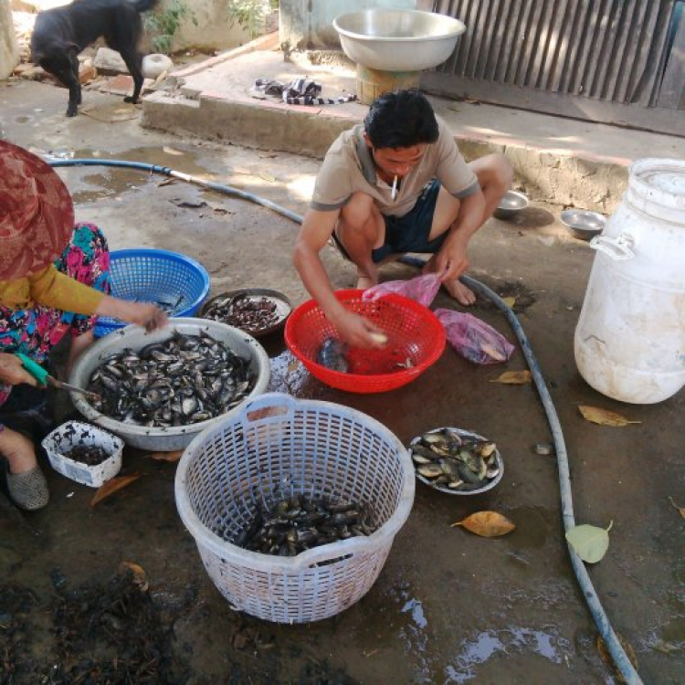 Khu phố 8888 - Chém gió chuyên nghiệp và đầy văn hóa (Tập 2) Khu phố 8888 - Chém gió chuyên nghiệp và đầy văn hóa (Tập 2)