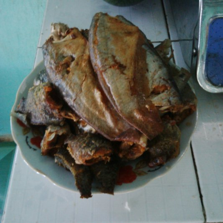 Khu phố 8888 - Chém gió chuyên nghiệp và đầy văn hóa (Tập 2) Khu phố 8888 - Chém gió chuyên nghiệp và đầy văn hóa (Tập 2)